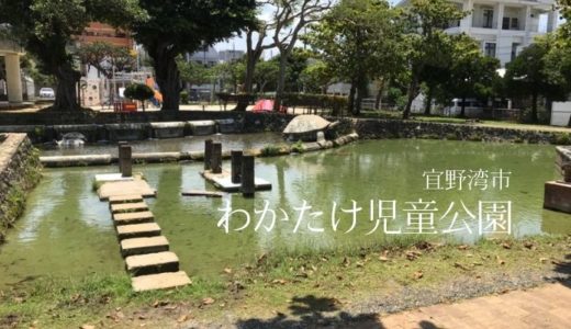 【宜野湾市】わかたけ児童公園で水遊びしてきた！湧き水で作られたじゃぶじゃぶ池は生き物がいっぱい